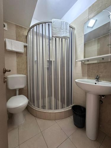 a bathroom with a shower and a toilet and a sink at Hotel Gala in Cluj-Napoca