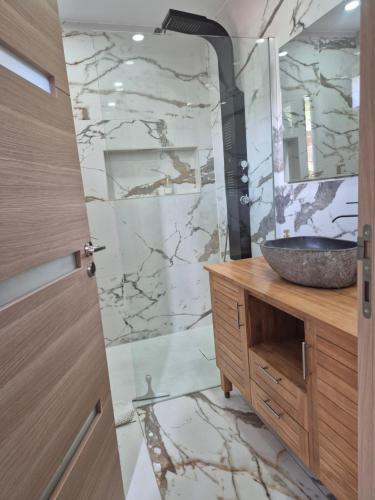 Koupelna v ubytování Magnifique appartement 2 chambres avec 50 m2 de jardin privatif