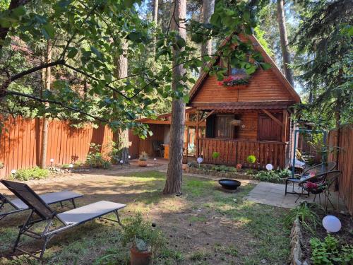 Jardin de l'établissement RECI Beach Cottage