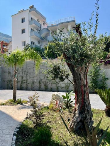 Κήπος έξω από το Emera Apartments
