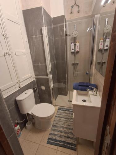 a bathroom with a toilet and a shower and a sink at 63, Casa Falzon in Rabat