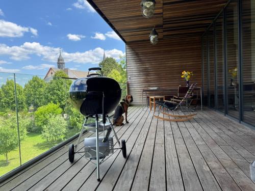 a dog is sitting on a deck with a camera at Ferienwohnung Faulhauer in Welschbillig