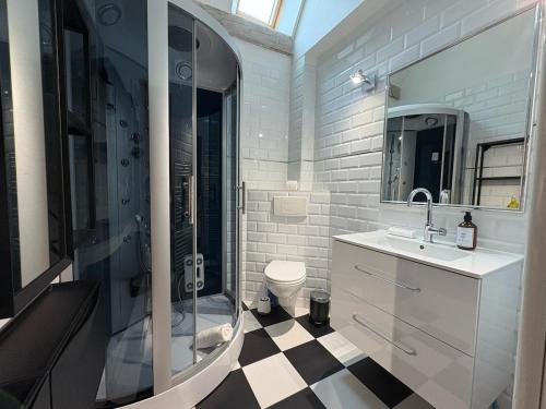 a bathroom with a shower and a sink and a toilet at Le Loft de Montfort coeur de ville in Montfort-lʼAmaury