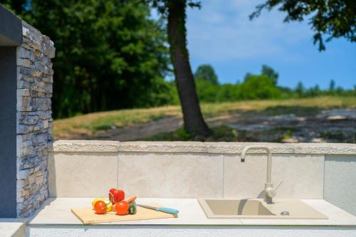 a kitchen counter with a sink and tomatoes on a cutting board at Villa Nik by Istrialux in Svetvinčenat