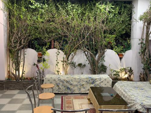 Сад в Krishnam Homestay