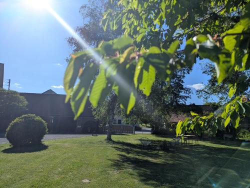 a park with a tree and benches in the grass at Alter Gutshof Sendelbach in Rentweinsdorf