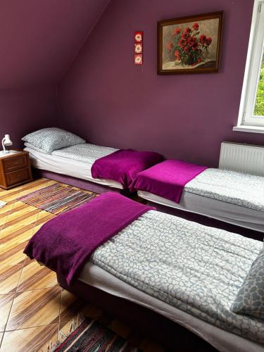 two beds in a room with purple walls at Restauracja Łania in Koszalin