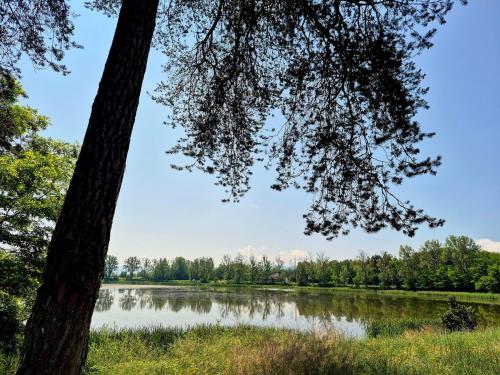 Paysage naturel près de la maison de vacances