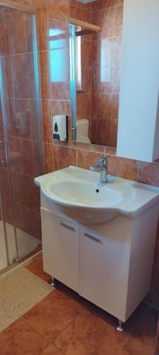a bathroom with a white sink and a shower at Apartmani Volme in Banjole