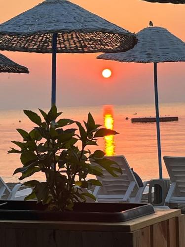 Gambar di galeri bagi ISKELE Seafront Bungalows & Restaurant di Famagusta