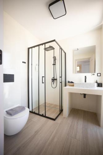 a bathroom with a shower and a toilet and a sink at Villa Skalia Lefkada in Athani