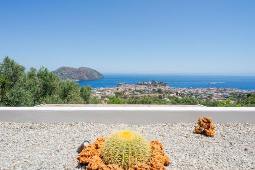 a cactus sitting on the side of a road at Dolceterra Eolian Villas in Lipari