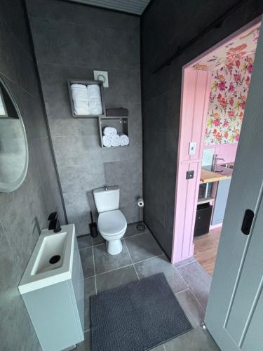 a bathroom with a white toilet and a sink at Fern Valley Tiny House in Virginia
