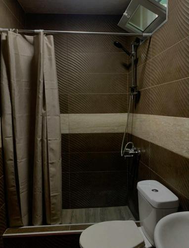 a bathroom with a shower and a toilet at Pirosmani 66 in Sighnaghi