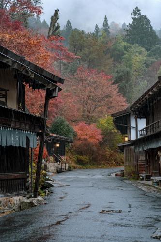 an empty road in a village with colorful trees at YAMO Nagiso in Nagiso
