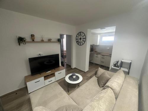 Телевизор и/или развлекательный центр в Cozy one bedroom apartment with parking