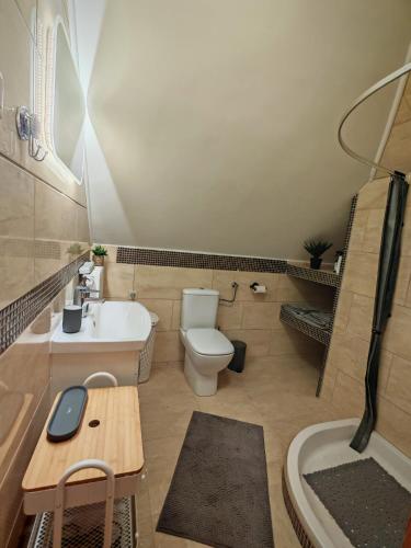 a bathroom with a toilet and a sink and a tub at Strefa ZEN z Jacuzzi i Basenem in Żerniki Wrocławskie