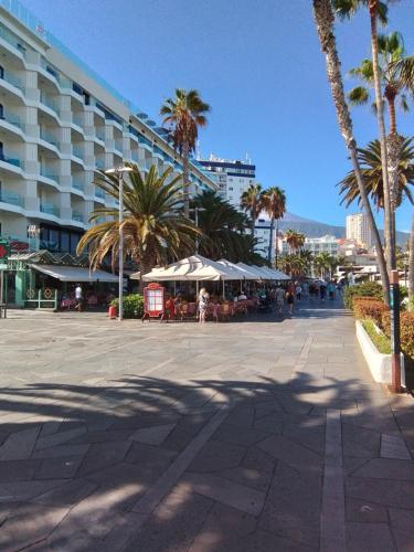 a street with palm trees and tables and a building at Bahamas Avenida Muelle in Puerto de la Cruz