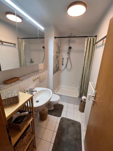 a bathroom with a sink and a toilet and a shower at Casper-David-Friedrich 2 in Bad Schandau