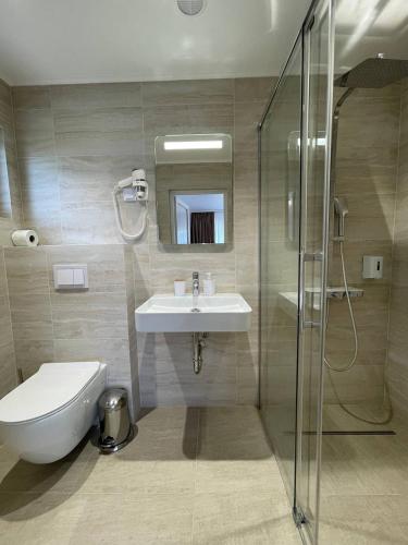 a bathroom with a sink and a glass shower at Vila Panova in Borsec