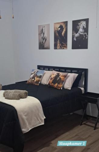a black couch with pillows on it in a room at Papkuilsvlei Selfsorg Plaashuis in Muishondfontein