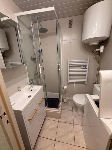 une salle de bain avec une douche, un lavabo et des toilettes dans l'établissement Studio Plage & Soleil, à Canet