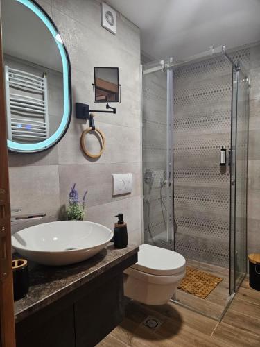 a bathroom with a sink and a toilet and a mirror at Daan dream apart in Kolašin