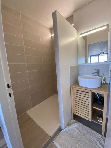a bathroom with a sink and a mirror at Appartement spacieux et lumineux, idéalement situé in Pessac