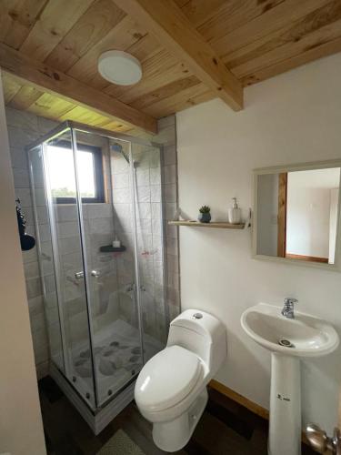 a bathroom with a shower and a toilet and a sink at Luz de Luna Antilhue in Valdivia
