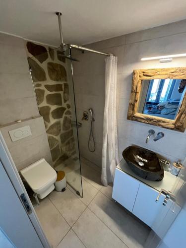 a bathroom with a shower and a toilet and a sink at La Casa Bianca Naxos in Vívlos