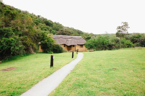 a path leading to a house in a field at Premier Resort Mpongo Private Game Reserve in Macleantown