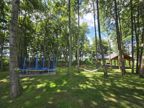 a park with a swing set and a gazebo at Domki Pod Olchowym Dachem Lubie in Gudowo
