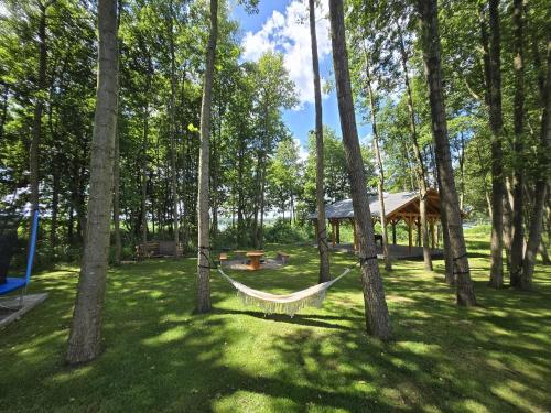 a hammock in a yard with a gazebo at Domki Pod Olchowym Dachem Lubie in Gudowo