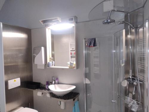 a bathroom with a sink and a shower and a toilet at DHofstede vakantiewoning in Oudenaarde