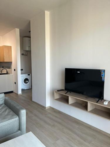 Μια τηλεόραση ή/και κέντρο ψυχαγωγίας στο Emera Apartments