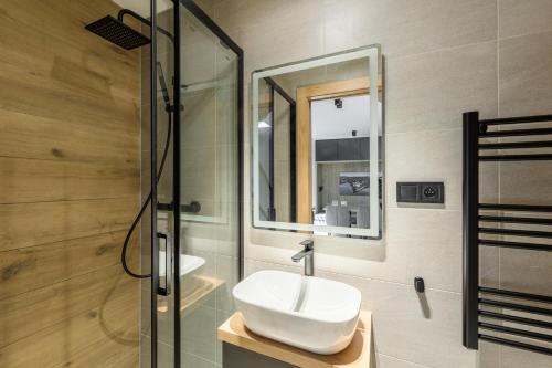 a bathroom with a sink and a glass shower at Orlík Lake Apartments in Klučenice