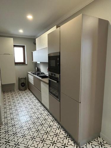Kuchyň nebo kuchyňský kout v ubytování Ursachi Apartaments & Rooms
