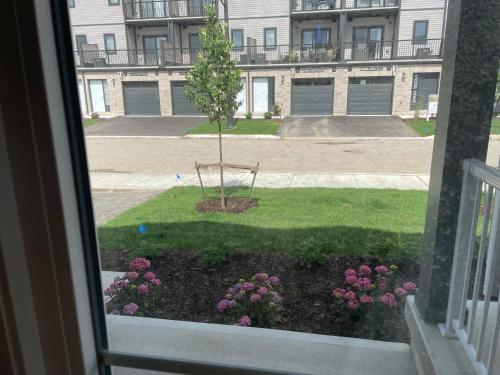 a window view of a small tree in a yard at Private Room in Stratford Townhome in Stratford