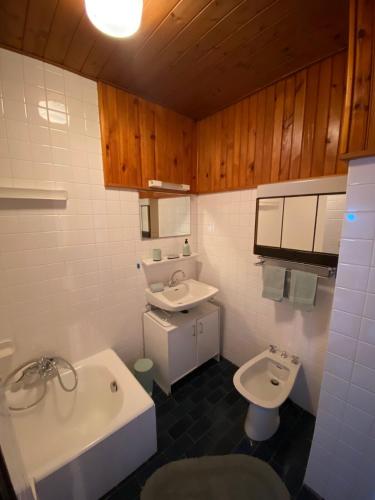 a bathroom with a sink and a toilet at Appartement vue lac in Publier