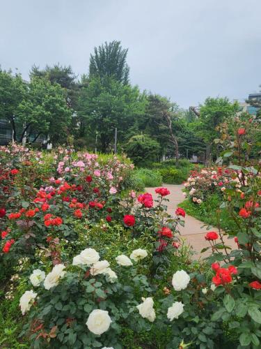 a garden filled with red and white flowers at Stay Foret in Seoul