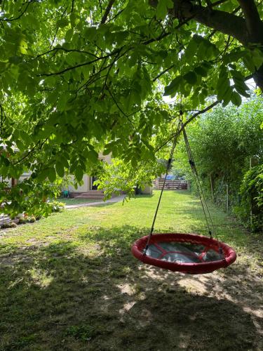 a red swing in a tree in a yard at Kislőd Apartman in Kislőd