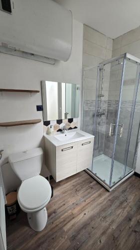 a bathroom with a shower and a toilet and a sink at Appartement plage & port in Le Tréport