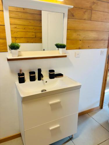a kitchen with a sink with two pots on it at Ti caz Désir in Le Tampon