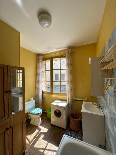 a bathroom with a toilet sink and a washing machine at Appartement au bord de la mer in Houlgate