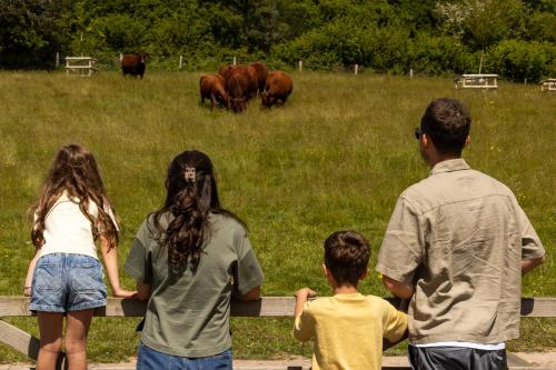 a group of people looking at cows in a field at Louma Country Hotel in Wootton Fitzpaine
