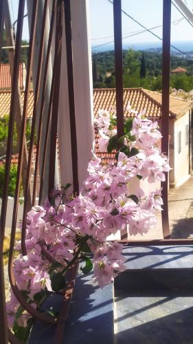 Ein Balkon oder eine Terrasse in der Unterkunft Obassys View