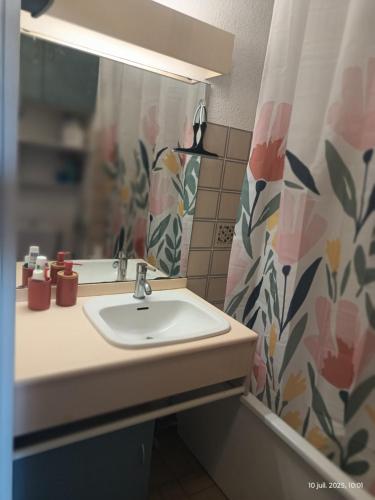 Appartement les flots bleues في فالراس بلاج: حمام مع مغسلة وستارة دش