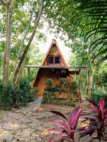 ECO-POR