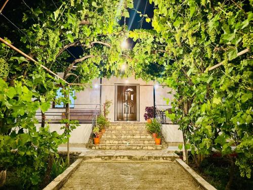 Meadow Of Stars house