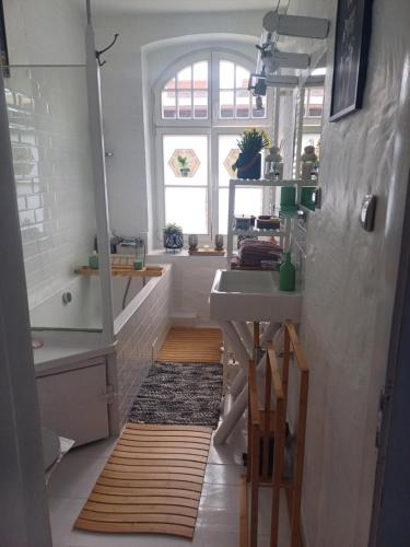 un baño con lavabo y espejo en Zacisze Pod Nikiszem, en Katowice